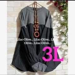 Item thumbnail for item 24090613-5edb-415d-ac75-bdc03e6d9b54