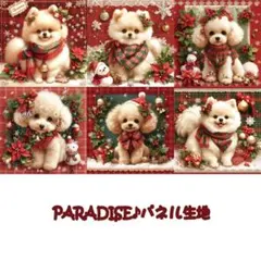 PARADISEパネル生地　 犬柄　クリスマス
