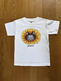 クレイジーシャツ　クリバンキャットTシャツ　Hawaiiのサムネイル