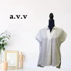 zk201【M】a.v.v 前後差裾 ドロップショルダー ストライプ 半袖
