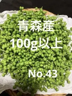 採りたて迅速発送！花山椒 新鮮摘みたて 200g 迅速発送！天然山椒の実 新鮮摘みたて 200g - メルカリ