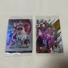日本代表バレーボールカードセット