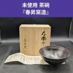 Item thumbnail for item dc74751d-3e0d-45f0-a9a1-636ef42af3bd