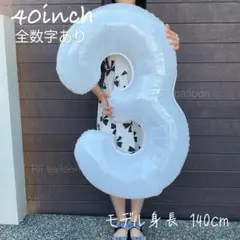 Item thumbnail for item 63de3dcf-746c-4902-aee9-118ca589f9cb