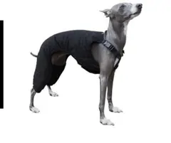 RAIN DOG GUARD レインドッグガード ONYX DXM RAIN DOG GUARD レインドッグガード ONYX DXM - メルカリ