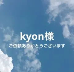 kyon様 リクエスト 2点 まとめ商品