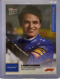 2025年最新】Lando norrisの人気アイテム - メルカリ