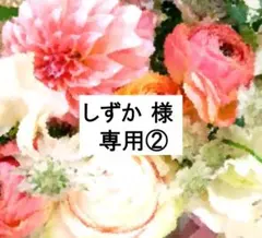 【しずか 様 専用②】2020年 最新版MTDSGQ DWE 未使用美品多数