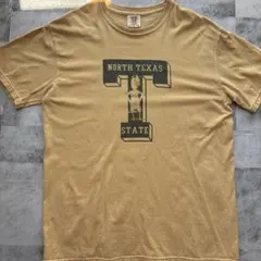 コンフォートカラーズ　Tシャツ　L アメカジのサムネイル