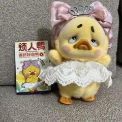 upsetduck