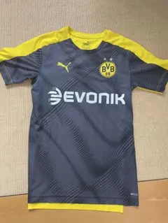 Item thumbnail for item 86ce0217-b94b-40f9-bc9f-0707a0686b97