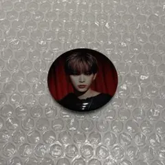 &team ハルア 缶バッジ アジツ