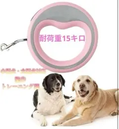 Item thumbnail for item bbc9301d-5ea8-418e-81dd-217631adb04d