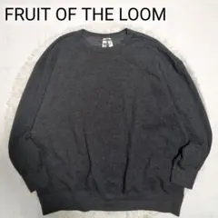 2026年最新】FRUIT OF THE LOOM メンズ トレーナー・スウェットの人気