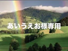 あいうえお様専用ページ