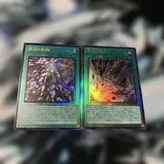 原石の皇脈　原石の穿光　レリーフ各1枚　遊戯王