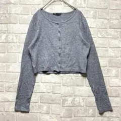 ザラ ZARA カーディガン L ショート丈 グレー スタイルアップ 羽織り