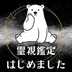 【ご新規様限定】総合/人生運/恋愛/仕事/金運/運勢/人間関係/未来