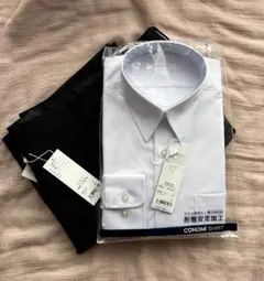 Item thumbnail for item 3f1c5363-49d0-4227-9641-3439a396f9d4