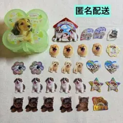平成　レトロ　シール　フレークシール　犬　小物入れ　セット
