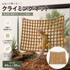 815 爬虫類 クライミングネット 40×30cm 吸盤固定 ケージ 壁面 登りのサムネイル