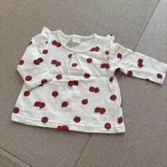 Item thumbnail for item 38c78297-6fb9-4555-81e4-f6ad95905237