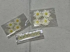 デイジーカボション【貼り付けパーツ】