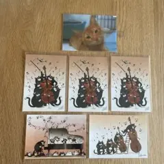 猫と楽器のイラスト ポストカード 6枚セット