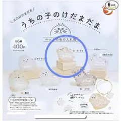 【新品、未使用】うちの子のけだまだま　プードル