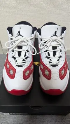 AIR JORDAN 11 RETRO LOW IE 28.5cm 10.5