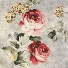 フランス　STOF Archway 薔薇のアーチ　オックス　生地　ハギレ