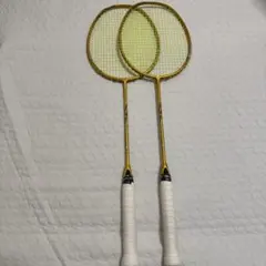 Item thumbnail for item 434cebe7-ccc2-4c88-8d53-188bcd6526a6