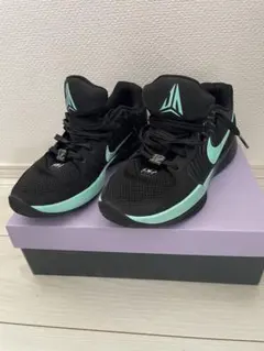 ja2 EP ジャ2 ティファニーブルーカラー NIKE