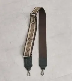 ear PAPILLONNER 福袋　ショルダーベルトのサムネイル