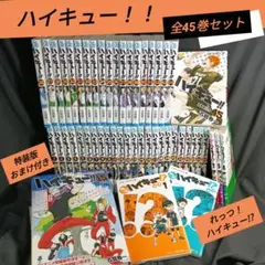 ハイキュー!! 全45巻セット 特装版のおまけ付き！！れっつ！つき！