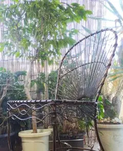 【残り1つ！特価】ガーデンチェア　アイアン　金属　椅子　⑤ 最終値下げ】ガーデンチェア アイアン 金属 椅子 ⑤ 2025年最新