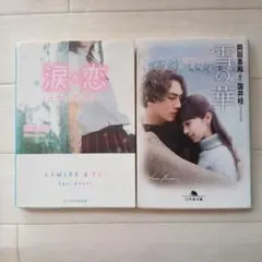 涙恋 & 雪の華 二冊セット