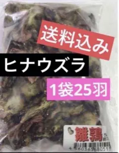 Item thumbnail for item 86d9b370-c18f-4a56-be11-f5b0b1cd2dc8