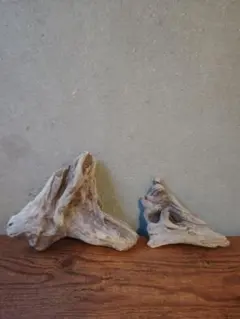 流木 2点セット ㉗