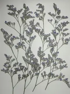 Item thumbnail for item 7054370d-869d-42bb-9117-77b2d5de6515