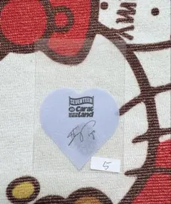 SEVENTEEN エスクプス　ケレン　落下物　紙吹雪　⑤