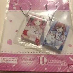 一番くじ 五等分の花嫁 H賞 単行本チャーム