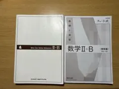 新課程 チャート式 基礎と演習 数学II+B 解答編 2冊セット