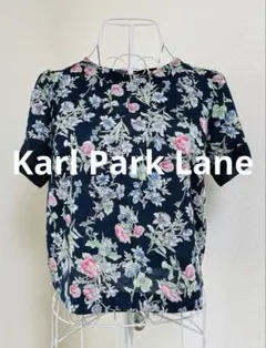 【美品】カールパークレーンブラウス✧小さいサイズ 23区 クミキョク エニスィスのサムネイル