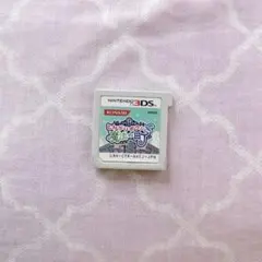 3DS とんがりボウシと魔法の町