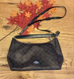 Item thumbnail for item 798500e5-9d71-4200-84a4-6ad69d702278