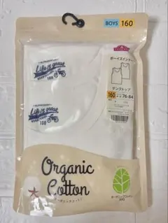 Item thumbnail for item dc88d807-6d30-4523-b40b-af4b890baa06