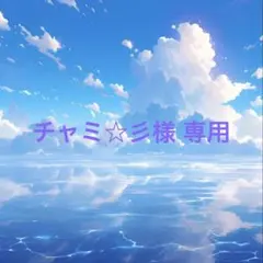 チャミ☆彡様 リクエスト 3点 まとめ商品