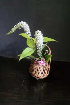 コスモス様専用