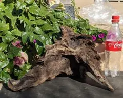 Item thumbnail for item 468b4b42-4d42-41d1-8973-71472411a336